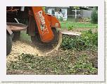 26 Mr Hazelwood & The Stump Grinder * 2592 x 1944 * (2.77MB)